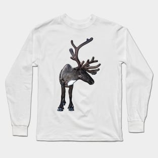 Santa Claus Reindeer Long Sleeve T-Shirt